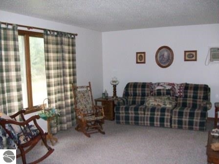 9130 North Rich Road Alma, MI 48801 - Photo 11 of 15 1789571-10.JPG