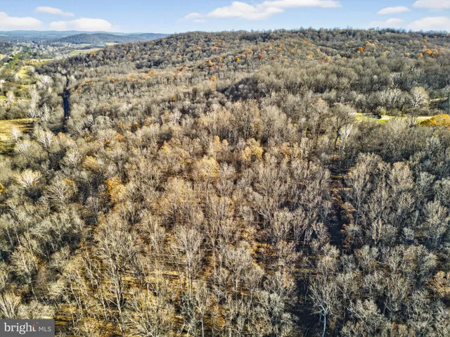 a view of a yard with trees