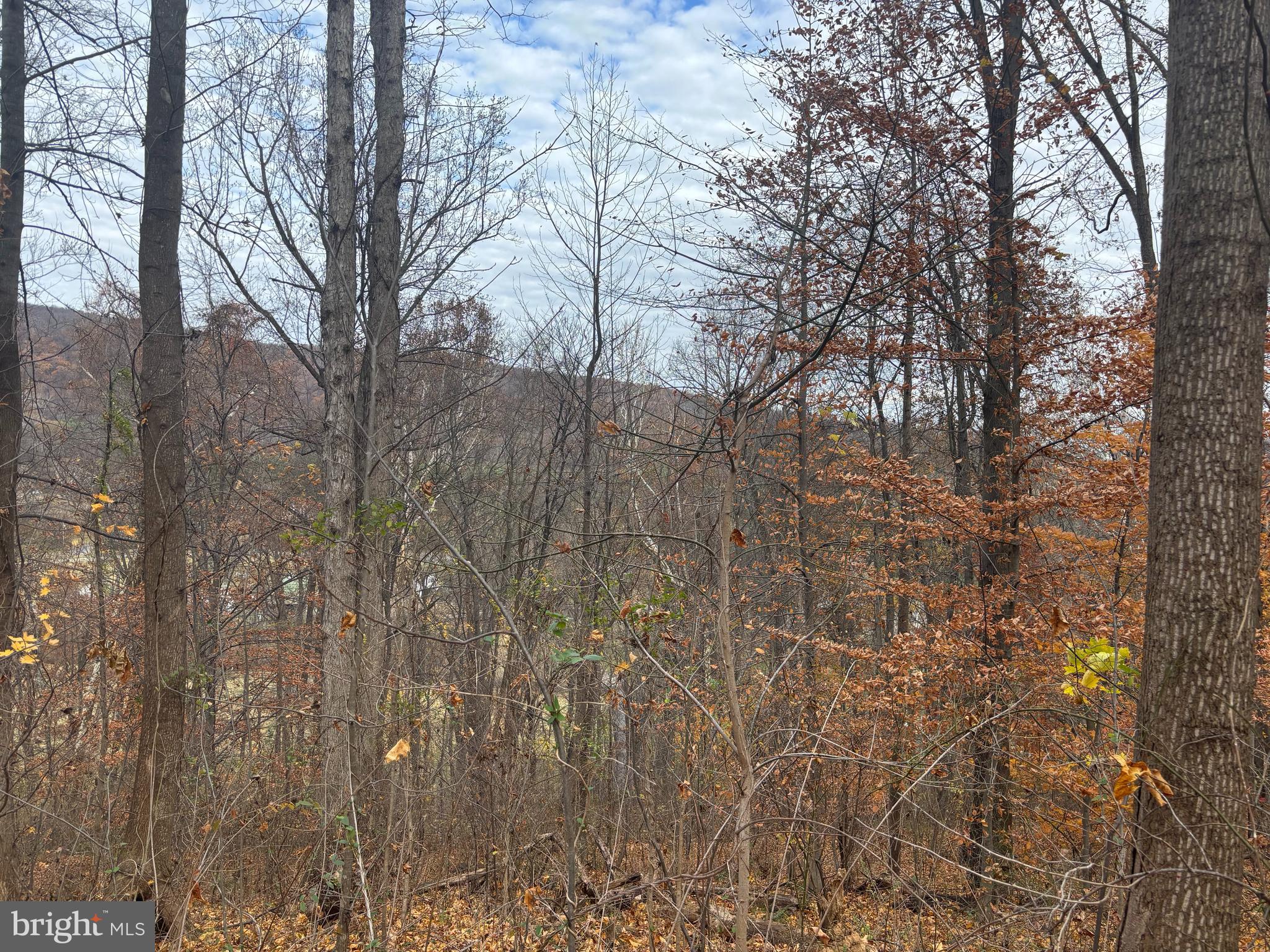 Fiery Run Road Linden, VA 22642 - Photo 20 of 24 a backyard of a house with lots of green space