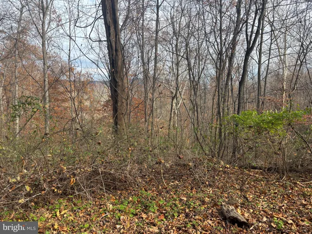 $750,000 | Fiery Run Road, Linden, VA 22642