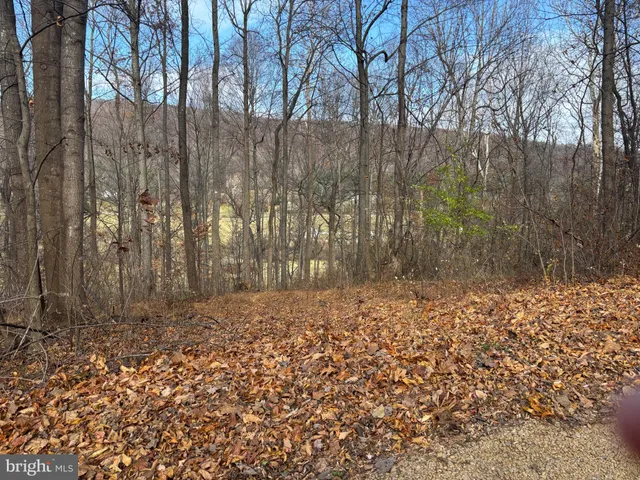 $750,000 | Fiery Run Road, Linden, VA 22642