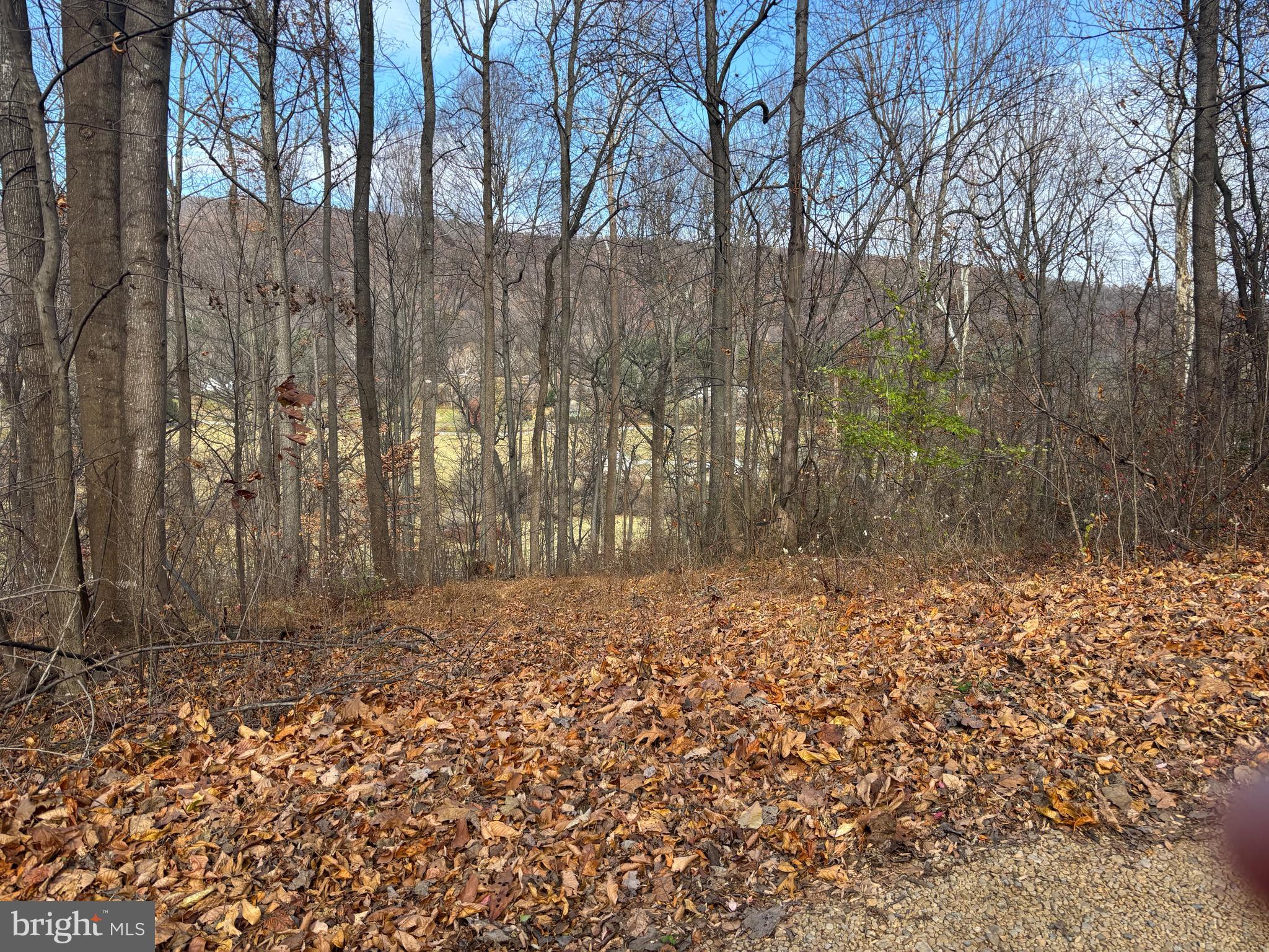 Fiery Run Road Linden, VA 22642 - Photo 22 of 24 a view of a yard with trees