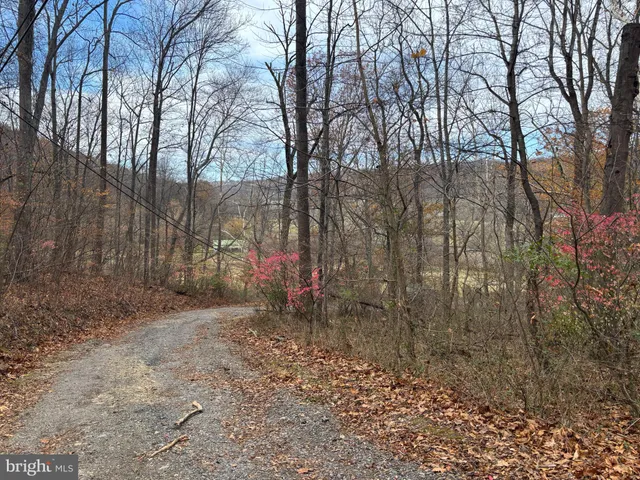 $750,000 | Fiery Run Road, Linden, VA 22642