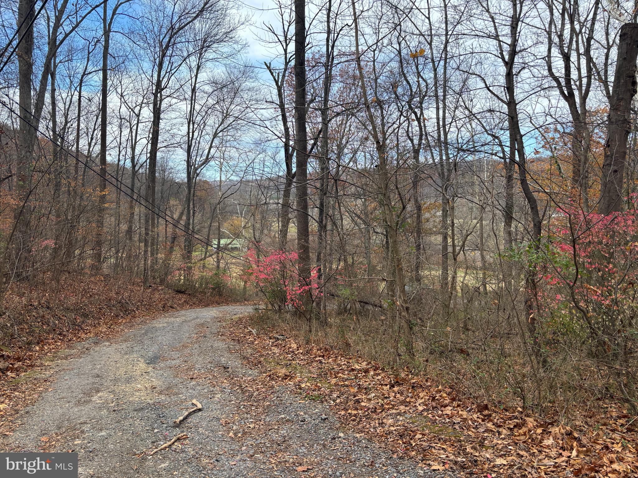 Fiery Run Road Linden, VA 22642 - Photo 23 of 24 a backyard of a house with lots of green space