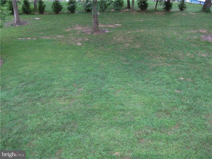 410 Park Road Downingtown, PA 19335 - Photo 20 of 22 Back Yard