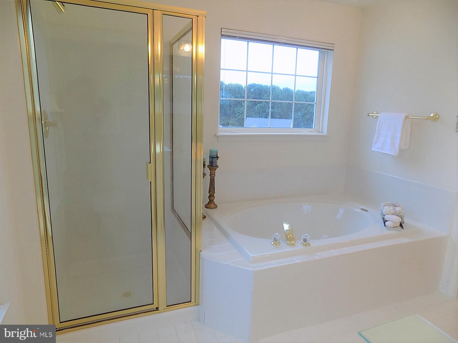 9 Summit Ridge Court Germantown, MD 20874 - Photo 17 of 29 Bath (Master)