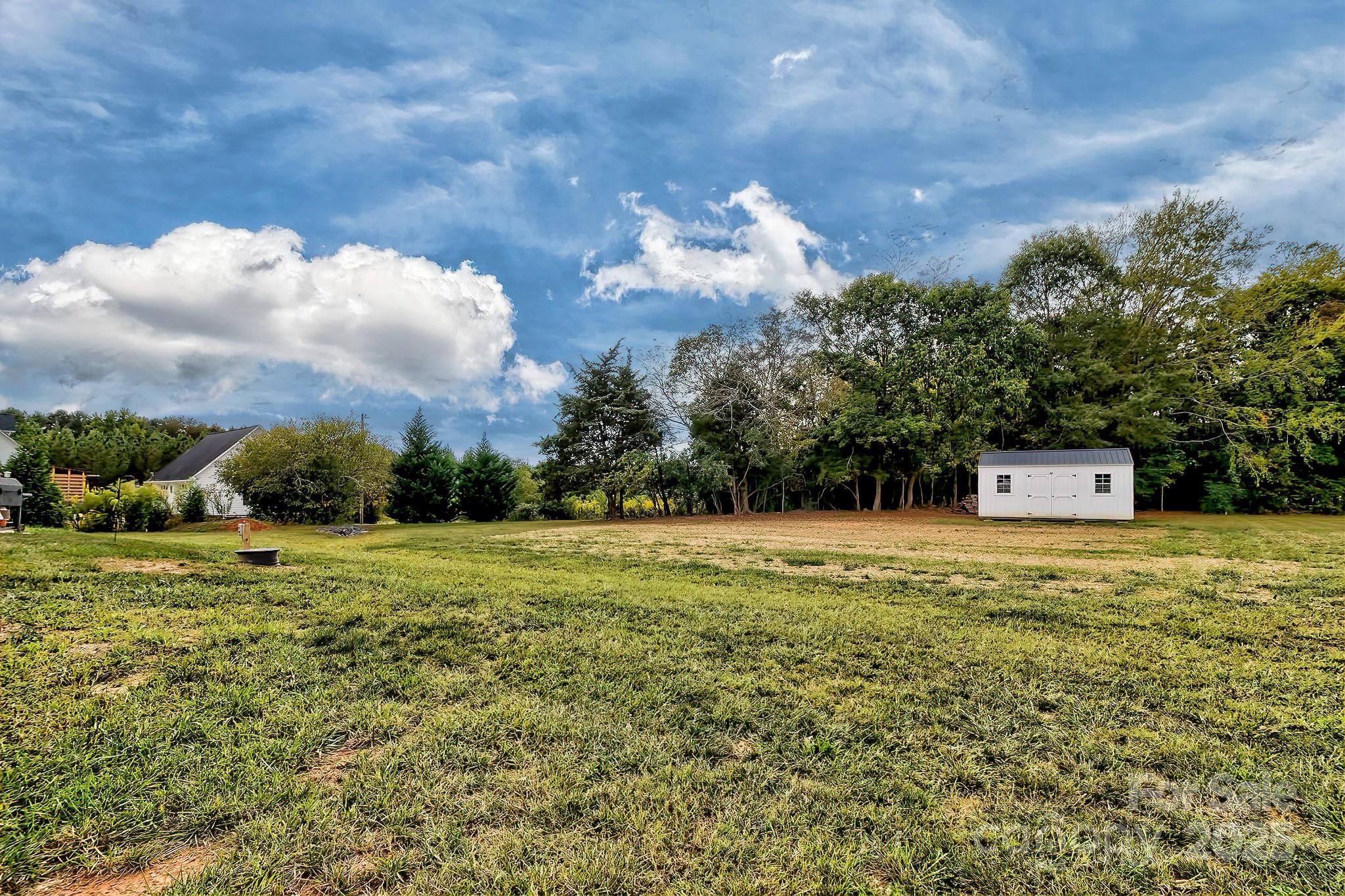 118 Griffin Road Pageland, SC 29728 - Photo 6 of 32 a view of a big yard with plants and large trees