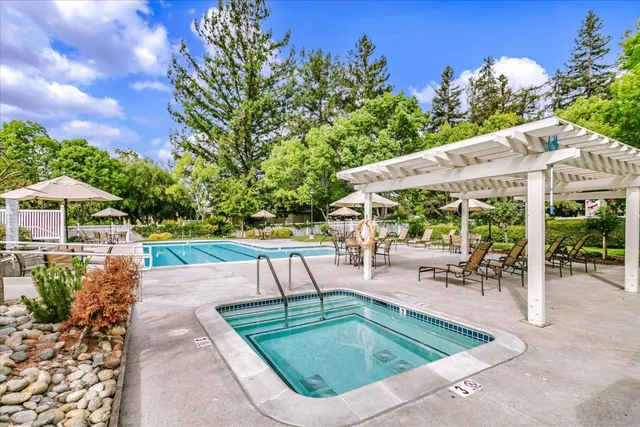 a view of a garden with plants and a bench