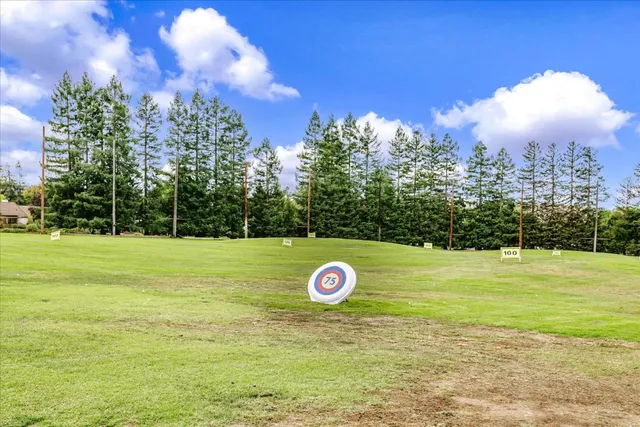 a view of park with large trees