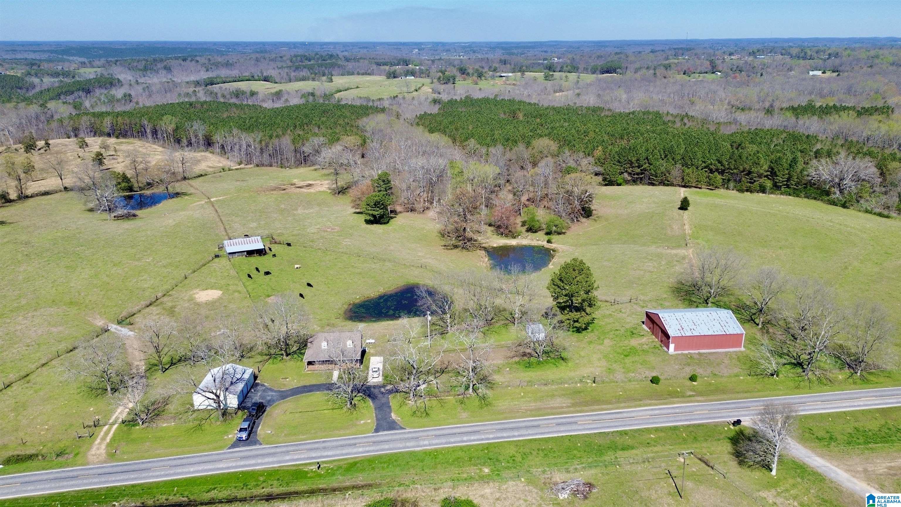 8115 Helicon Road Arley, AL 35541 - Photo 85 of 86