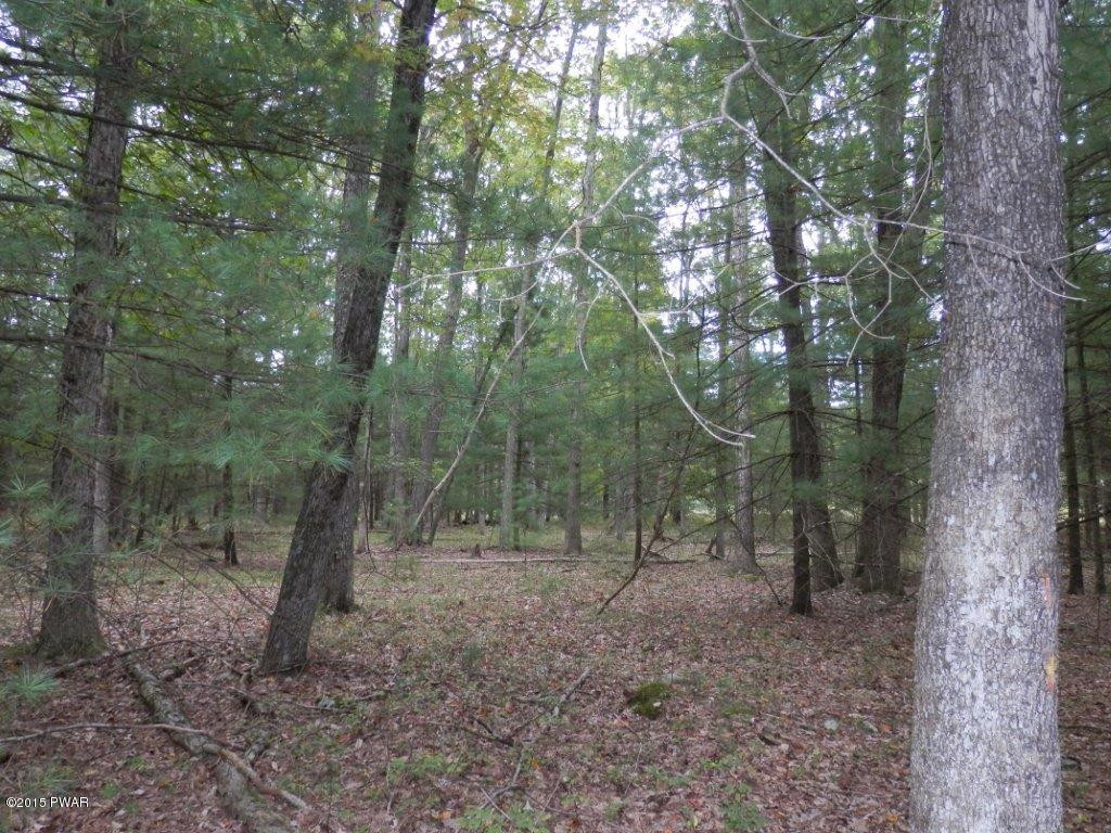 Lot 28 Rowland Road Greeley, PA 18425 - Photo 1 of 3