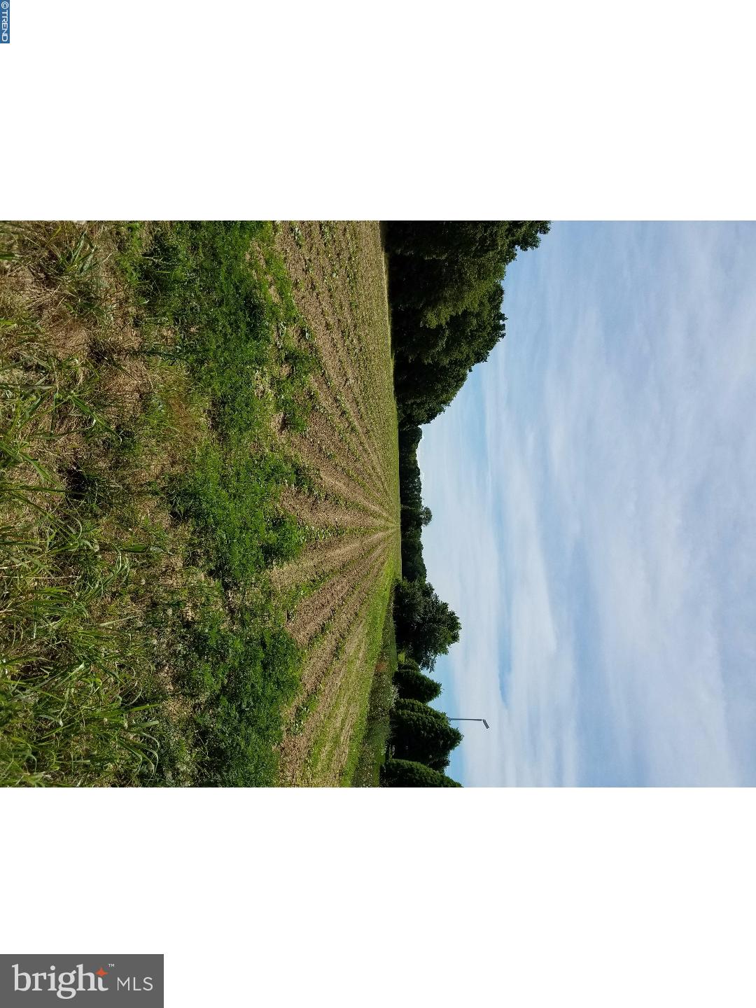 578 Cross Keys Road Sicklerville, NJ 08081 - Photo 3 of 13