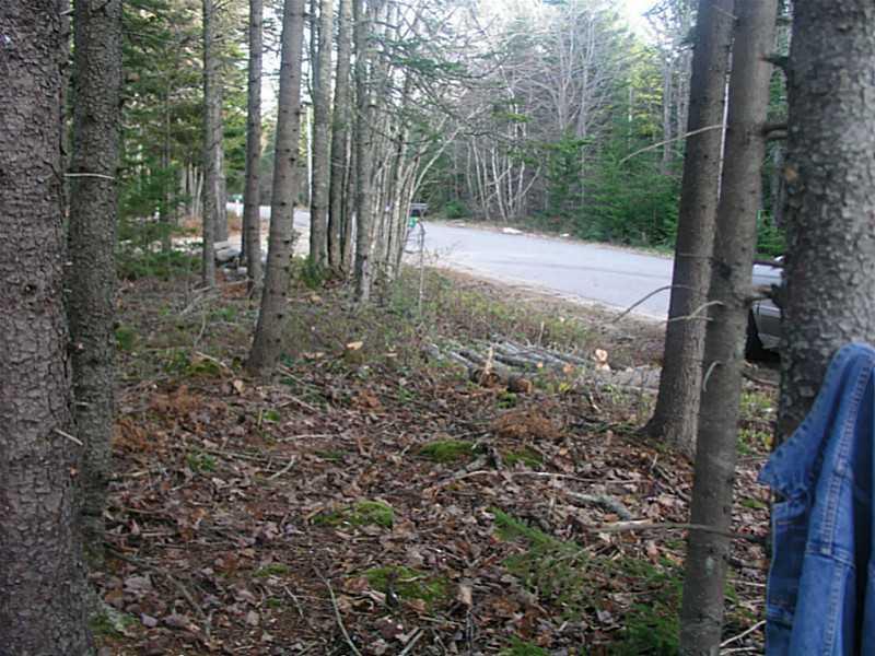 Lot Tbd Flye Point Road Brooklin, ME 04616 - Photo 14 of 14 Land/Lot.