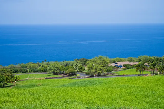 a view of a green field