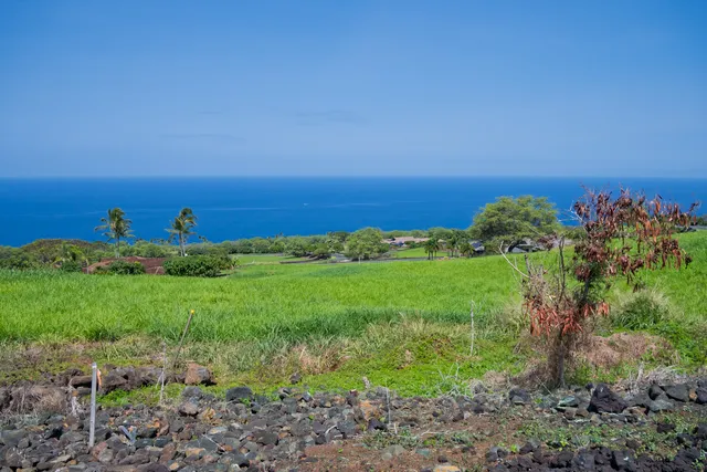 a view of a building in the middle of a field