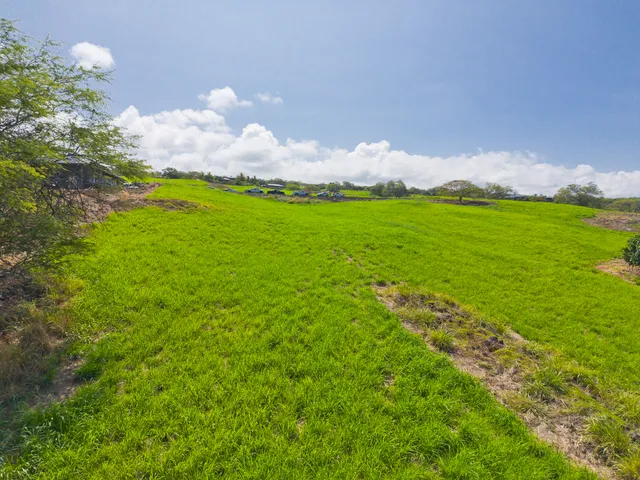 a view of an outdoor space and yard