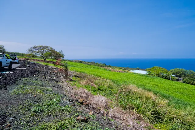 a view of a green field with lots of bushes