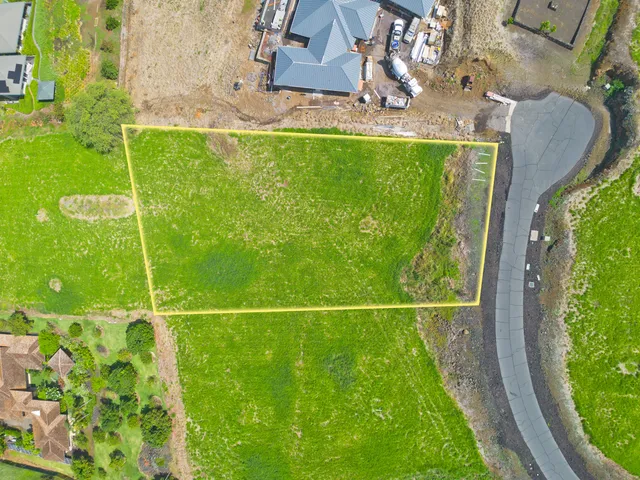 a backyard of a house with plants and large trees