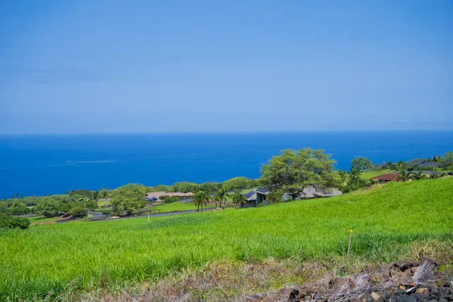 a view of a lake with a building in the background