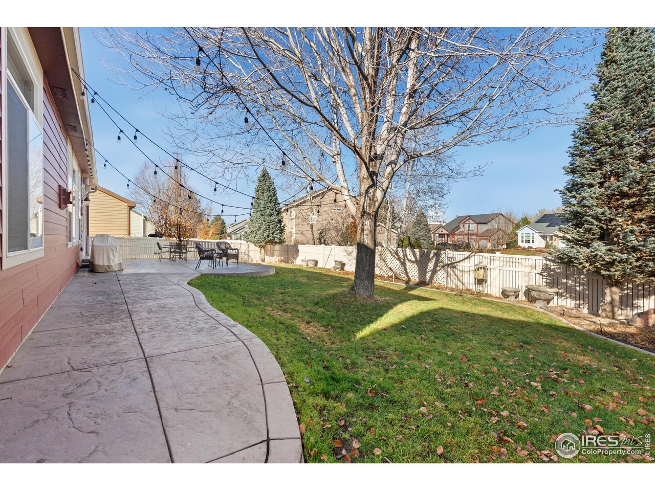 6685 Sage Avenue Firestone, CO 80504 - Photo 21 of 22 a view of yard with tree