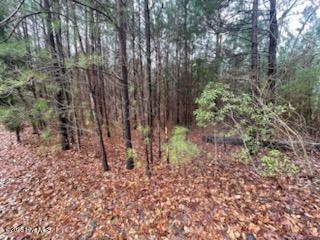0 Long Point Landing Road Chocowinity, NC 27817 - Photo 3 of 31 VIEW OF TOPOGRAPHY OF LOT