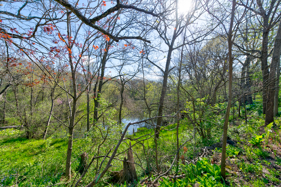 25147 North Gilmer Road Hawthorn Woods, IL 60047 - Photo 44 of 44