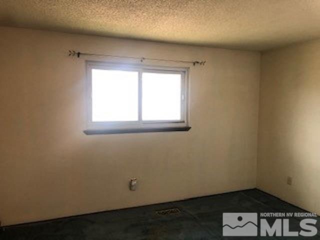 160 Roughing It Road Dayton, NV 89403 - Photo 12 of 37 Photo 12