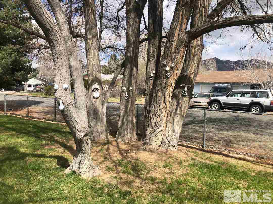 160 Roughing It Road Dayton, NV 89403 - Photo 2 of 37 Photo 2