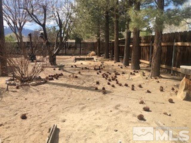 160 Roughing It Road Dayton, NV 89403 - Photo 23 of 37 Photo 23