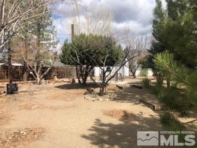 160 Roughing It Road Dayton, NV 89403 - Photo 25 of 37 Photo 25