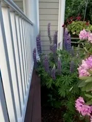 $779,000 | 62 South Street, Unit A, Plymouth, MA 02360