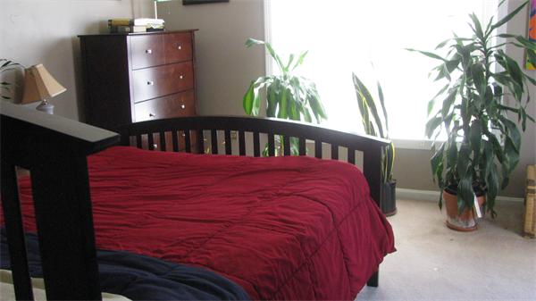 5 Castlegate Drive, Unit 5B Springfield, MA 01129 - Photo 10 of 18 Gallery Image 10