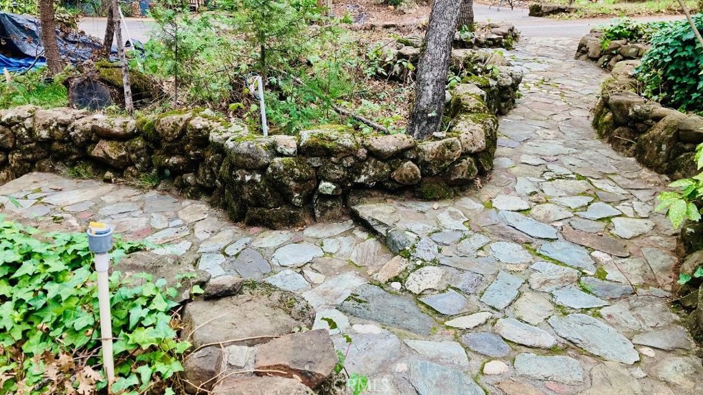 4920 Tippytoe Lane Forest Ranch, CA 95942 - Photo 21 of 36 a bunch of flowers and trees