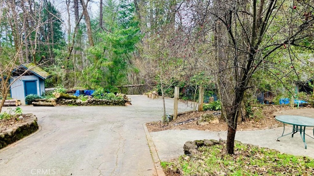 4920 Tippytoe Lane Forest Ranch, CA 95942 - Photo 22 of 36 a view of a street with some trees