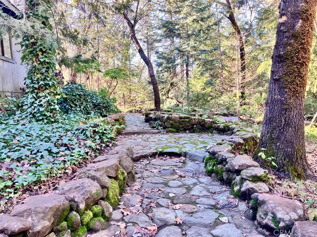 4920 Tippytoe Lane Forest Ranch, CA 95942 - Photo 3 of 36 a view of a garden with plants and trees