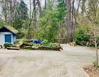 4920 Tippytoe Lane Forest Ranch, CA 95942 - Photo 46 of 51