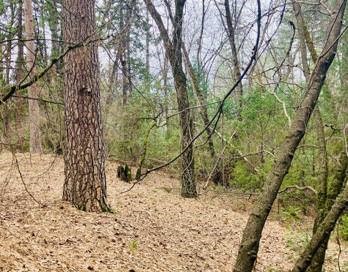 4920 Tippytoe Lane Forest Ranch, CA 95942 - Photo 49 of 51