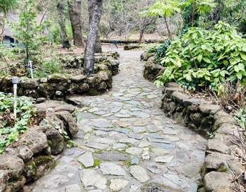 4920 Tippytoe Lane Forest Ranch, CA 95942 - Photo 8 of 51