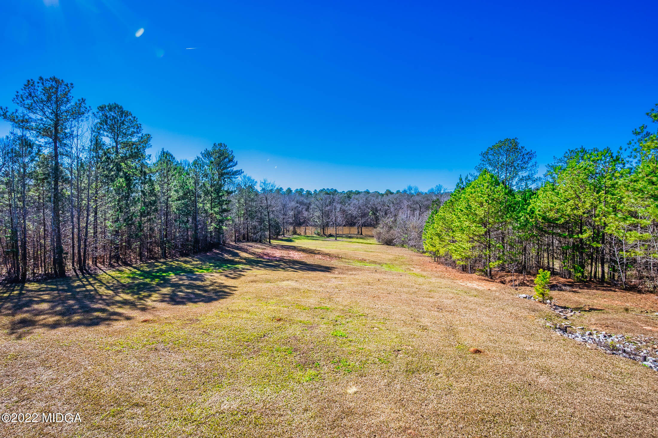 176 Tumbling Shoals Drive Gray, GA 31032 - Photo 47 of 51 a view of a yard with palm tree