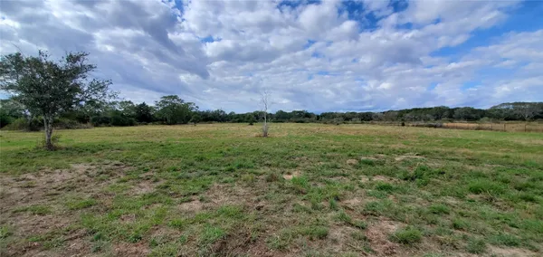 a view of a field with sitting space and trees