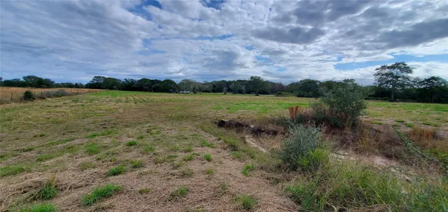 a view of a field with a tree