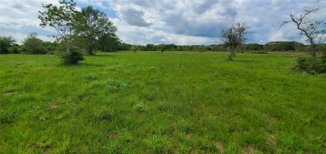 a view of an outdoor space and a yard