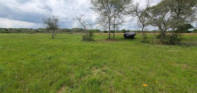 a view of garden with trees and grass