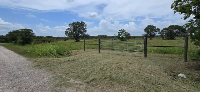 a view of park with plants and lake view