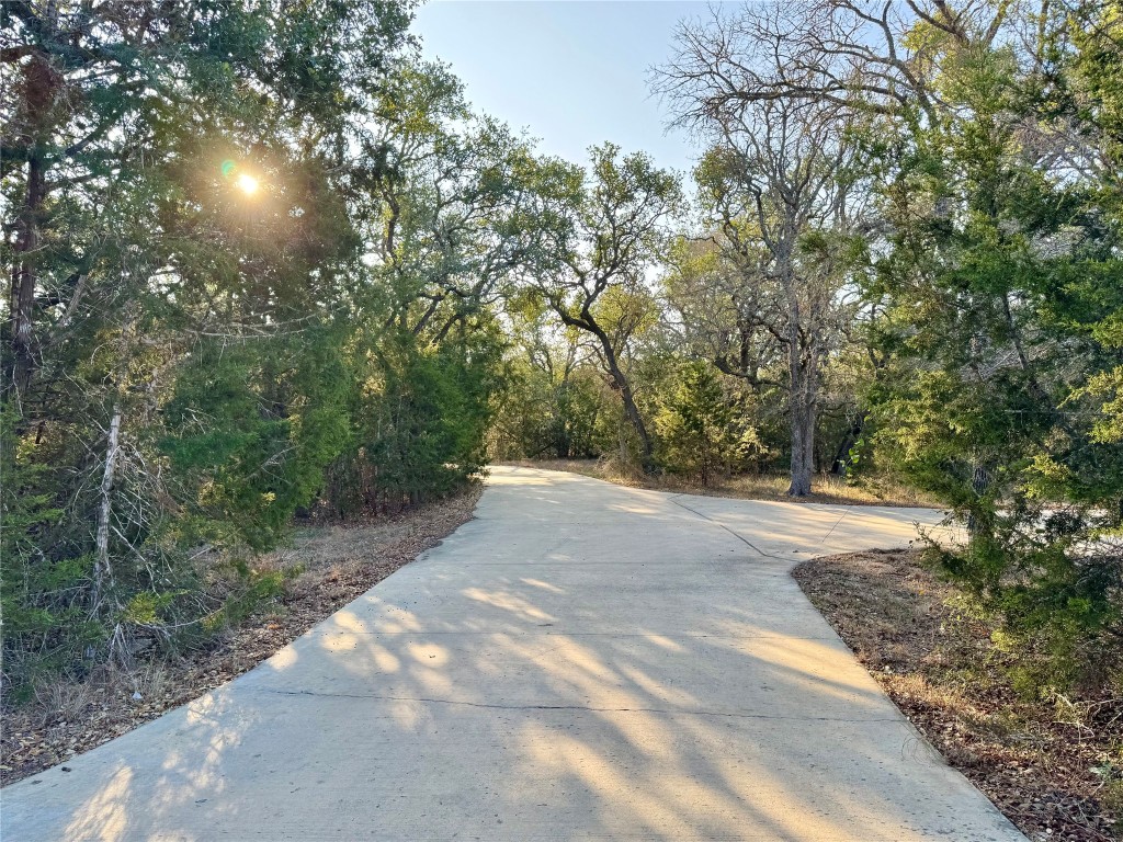 290 Hugo Road, Unit A San Marcos, TX 78666 - Photo 25 of 25 a view of road and trees