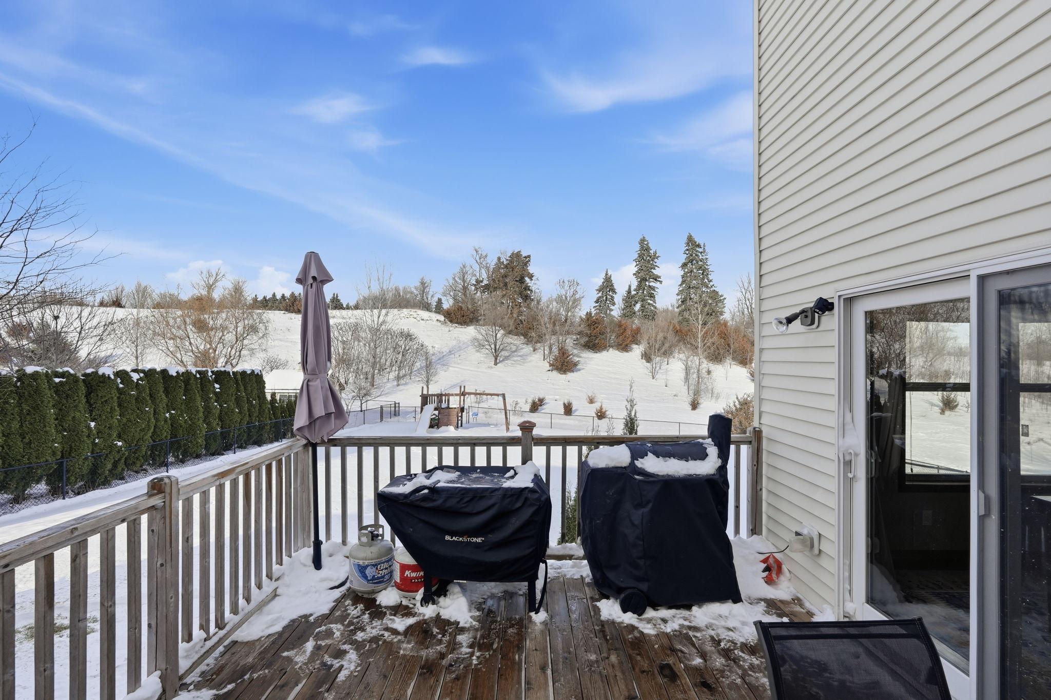 9504 Pheasant Crossing Minnetrista, MN 55375 - Photo 34 of 42