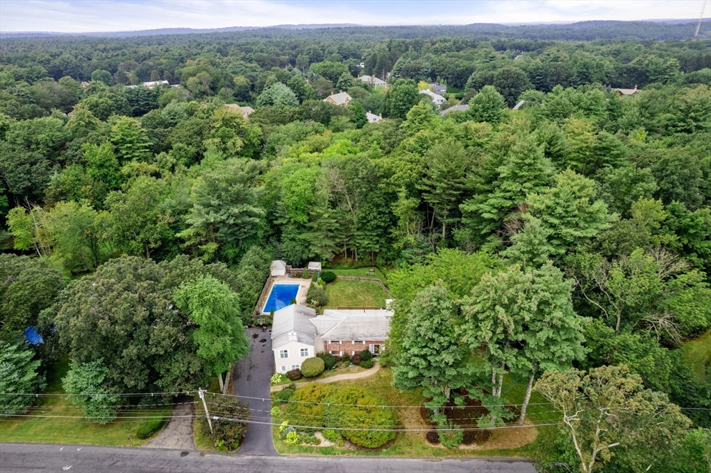 160 Country Way Needham, MA 02492 - Photo 15 of 15 Gallery Image 15