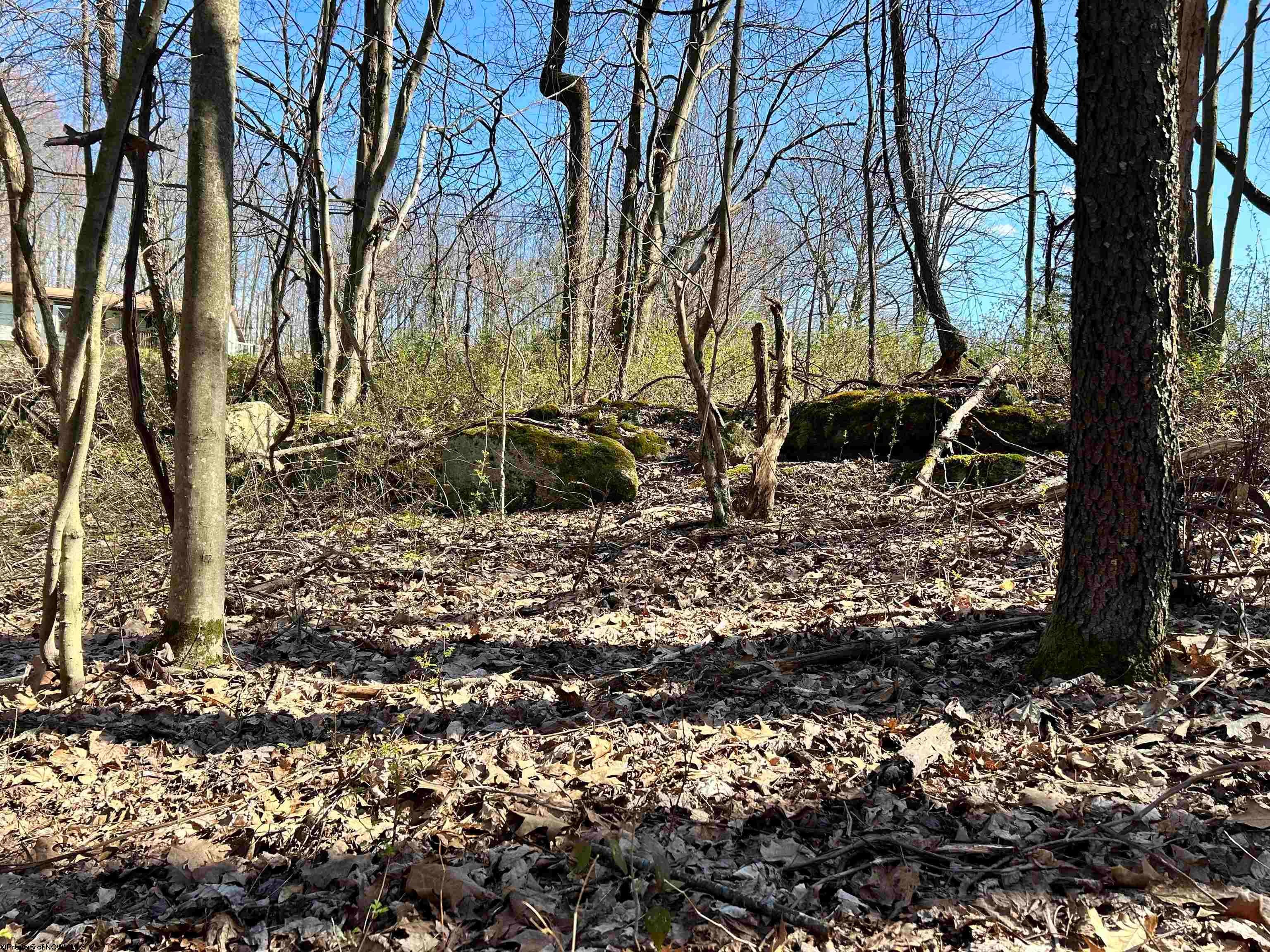 Tbd Dogtown Road Reedsville, WV 26547 - Photo 4 of 4 Gallery Image 4