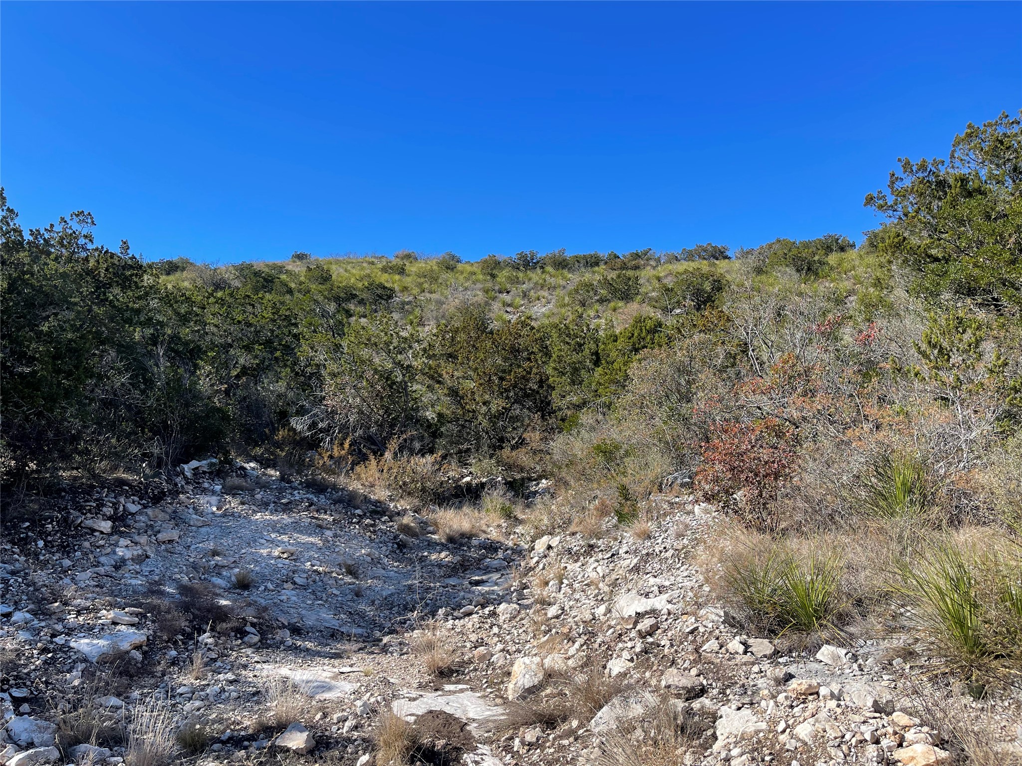 305 Walnut Springs Ranch Road Uvalde, TX 78801 - Photo 11 of 21 a view of a dry yard with mountains in the background
