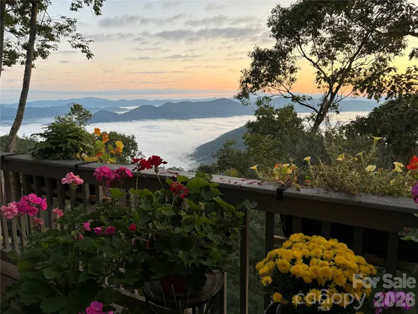 a view of a flower in a yard